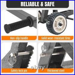 Lawn Mower Jack, 800 lb Capacity Zero-Turn Mower Lift, Gray